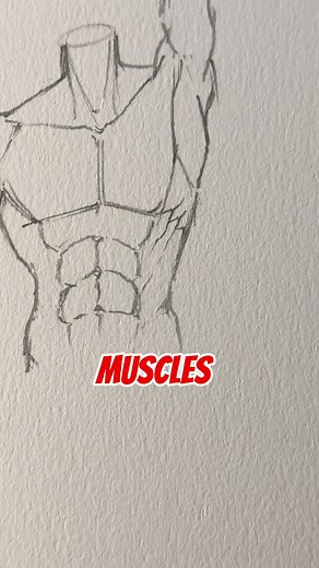 How to Draw Muscles - Easy Tutorial for Beginners