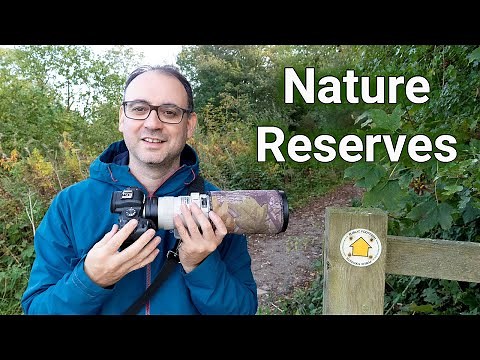 How to Photograph Wildlife on a Nature Reserve (UK) - My Top Tips!