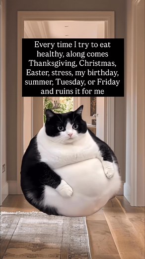 Every time #memes #meme #memepage | Corporate Millennial Bestie