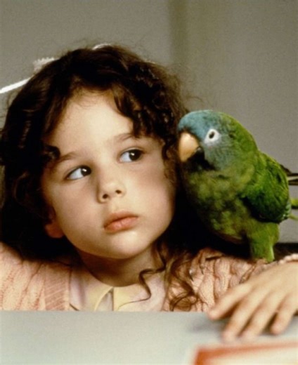 أفضل أفلام 1998 التي يجب مشاهدتها