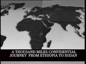 Red sea diving resort real footage