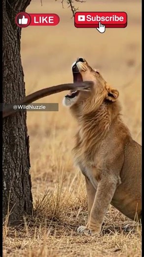 Lion vs Snake The Bite No One Saw Coming! 🐍🦁