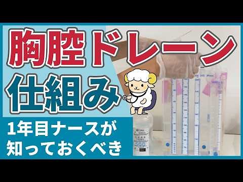 看護師1年目が知っておくべき胸腔ドレーンの仕組み【急変も予知できる】