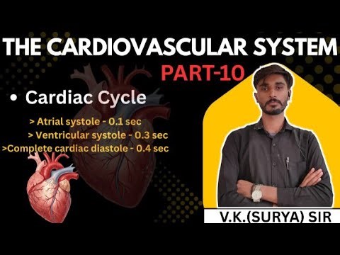 🫀 Cardiac Cyclein Hindi & English Easy Trick | Step by Step Explanation