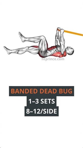 Band Core Workout for Men Over 40 (Pallof Press + Banded Dead Bug)