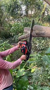 Massive Log Cutting for Firewood Prep! 👍 . . . #Chainsaw #WoodCutting #Firewood #LogCutting #Logger #StumpRemoval #DIYProjects #OddlySatisfying #USA #Reelsfb #Reels #Powertools #fblifestyle | Tree Cute