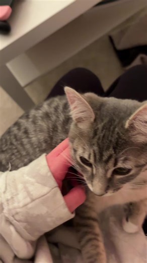 girlcocks (@girlcocks)’s videos with original sound - girlcocks