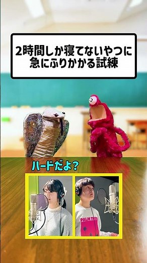 パペット劇「2時間しか寝てないやつに急に降りかかる試練」