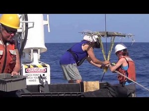 Sediment Trap Deployment