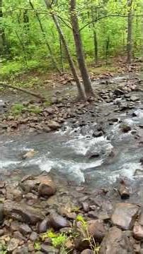 Praying for World Peace #4 #nature #walkinspiritoftheholyspirit #godlistens #supernatural