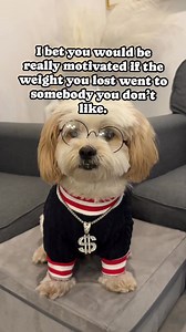 322K views · 6.2K reactions | 藍 #jokes #comedy #funny #memes | Hunter the Bounter | Facebook