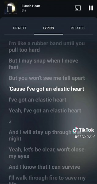 Sia's Elastic Heart Lyrics Explained