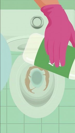 How to Remove Stains From a Toilet Bowl #shorts