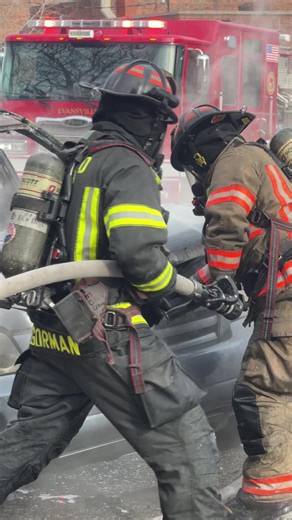 Aftermath of a Car Fire: Insights and Response