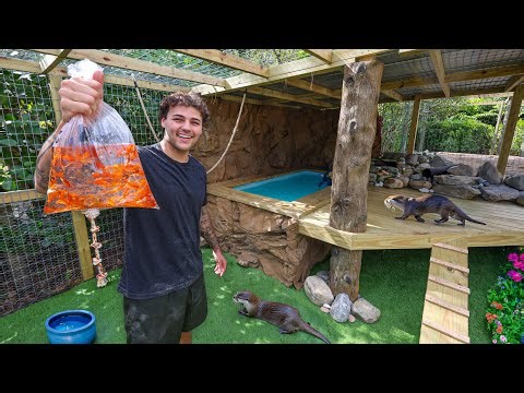 Buying FISH for My OTTER POND!! (she ate them)