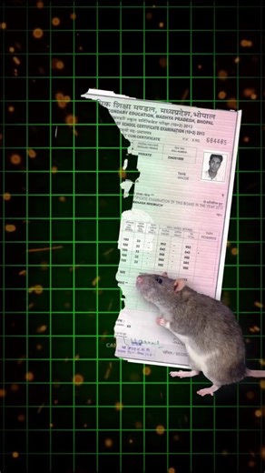 Deepesh Rajput on Instagram: "📌 10th & 12th Marksheet Download in 1 Click 😍... . . . #10thmarksheetdownload #marksheetdownload # #exam #results #techreels #information #reels #viral #foryou #itech_akash"