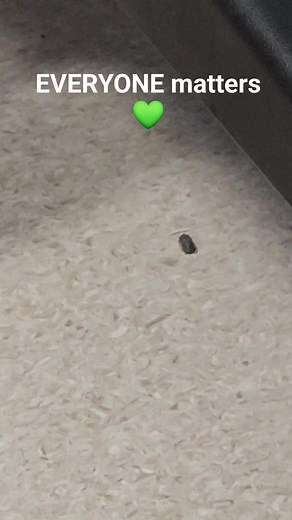 Roly-poly, rollie pollies, pill bugs. Some even say potato bugs. What do you call them? They cannot live indoors (in dry areas) for more than 2 days, so I had to get this traveler onto a safer route 😊 Every life matters to the one living it 💚 | The Hopeful Herbivore