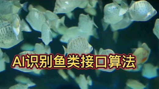 扫一扫识别海洋鱼类品种算法技术，AI识鱼算法sdk接口。AI识鱼接口SDK，AI识鱼算法，扫描识别鱼的品种技术接口，识别鱼类在线API接口，鱼类识别接口