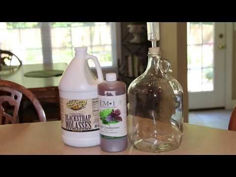 Activate Effective Microorganisms EM1: Step by Step