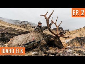 HUGE Bull On PUBLIC LAND | Idaho Elk (EP. 2)