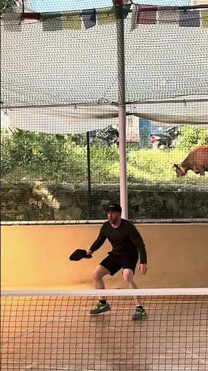 pickleball!!! #shorts #pickleball