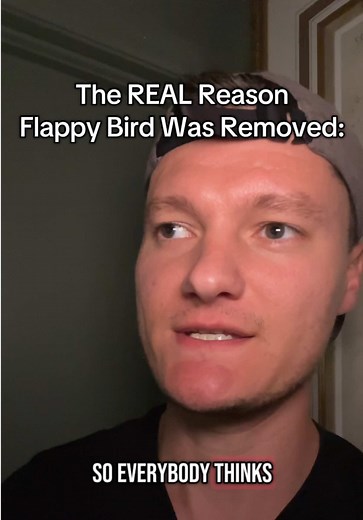 The REAL Reason Flappy Bird Was Removed Explained