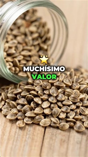 Muchos preguntaron ¿cómo se usa el cáñamo⁉️