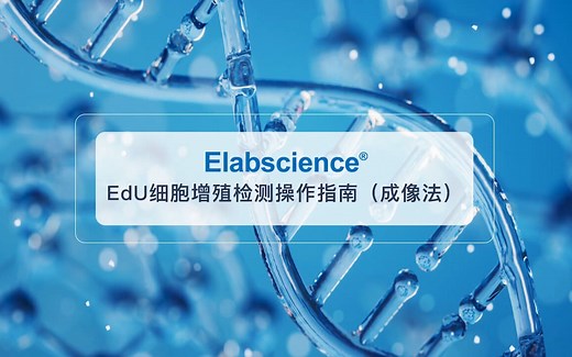 Elabscience_EdU细胞增殖检测操作指南（成像法）