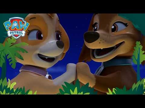 Can a hot-air balloon RUIN the contest!? 🎈 - PAW Patrol · 2026 Cartoons for Kids