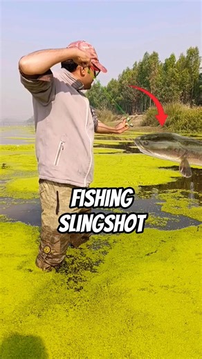 slingshot fishing target shooting skill 🎯 #shortsfeed #slingshot #asmr #fishingtips #fishing