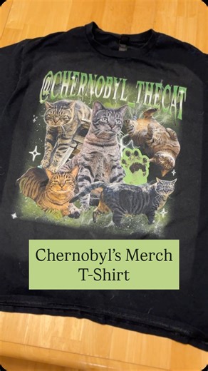 Chernobyl Gray on Instagram: "Chernobyl’s T-Shirts are on his TikTok shop (link in bio). I’ll post them to our website and our Amazon Storefront soon! #merch#tshirt#shirt#chernobylthecat#chernycat#catsofinstagram#cat#catvideos#catdistributionsystem#cats#catfriends#kitty#catmom#ilovemycat#ilovecats#catlover#catlovers#catloversclub#catstagram#catsagramandtigo"