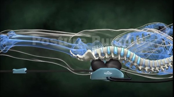 Posture Pump® Penta Vec® Lumbar Decompression Device – Adjustable Lower Back Support for at-Home Spinal Stretching & Disc Hydration