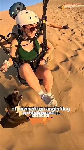 Vacation goes wrong 😭 | Dog Bite | #facts #ronaldoedition