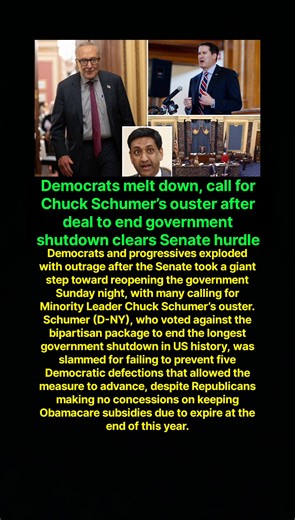 Democrats melt down, call for Chuck Schumer’s ouster after deal to end government shutdown clears Senate hurdle Democrats and progressives exploded with outrage after the Senate took a giant step toward reopening the government Sunday night, with many calling for Minority Leader Chuck Schumer’s ouster. Schumer (D-NY), who voted against the bipartisan package to end the longest government shutdown in US history, was slammed for failing to prevent five Democratic defections that allowed the measur