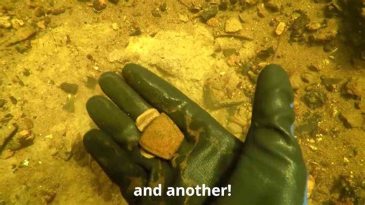 How a single tooth told a 20 million-year-old story