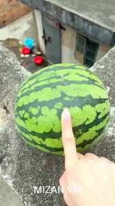 Experiment: Will bananas and watermelons explode when they roll down a tall building? #reels | MIZAN VAI