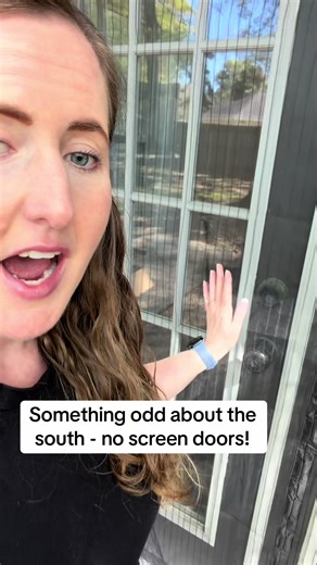 Magnetic Screen Door: Perfect for Southern Homes