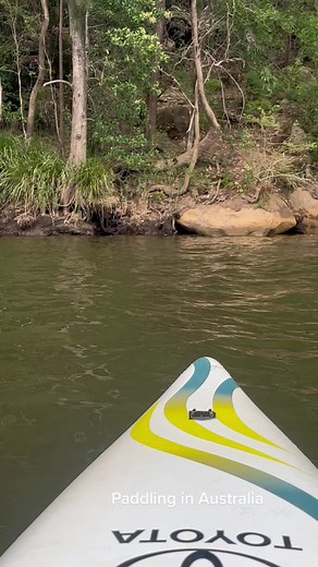 Fluent in #parseltongue 😱 found a buddy at training today… it’s both pretty and terrifying. #python #snake #australia