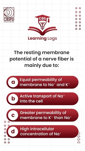 High-Yield Physiology: Mastering the Resting Membrane Potential | MCQ Decode