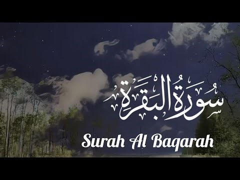 Surah Al Baqarah ❤️‍🩹 best reciting Quran 🤍