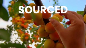 Deve Herbes Pure Horsetail Oil (Equisetum arvense) Natural Therapeutic Grade Cold Pressed 300ml (10 oz)