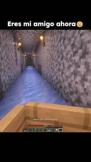 1M views · 10K reactions | A donde vamos bro? 﫤 #minecraft #minecraftmemes #minecraftjava #minecraftfunny | TonyNubmc | Facebook