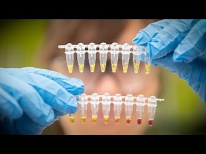 New field test detects nutrient deficiencies