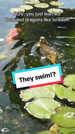 Zach Mesquit on TikTok