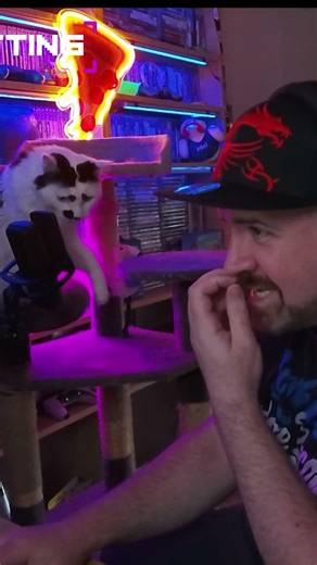 My Cat SCREAMS at Me Because I Won’t Play 😭🐱 | Twitch Clip