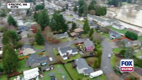Watch: Drone video shows flooding across Pacific, Washington after levee failure