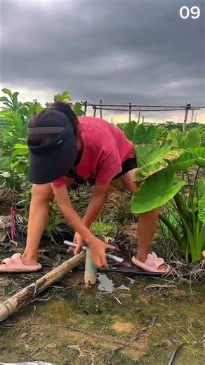 Digging tool for planting bamboo