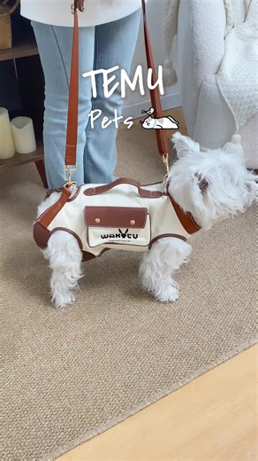 Hands-Free Carrier for Small Pets: Cozy & Safe