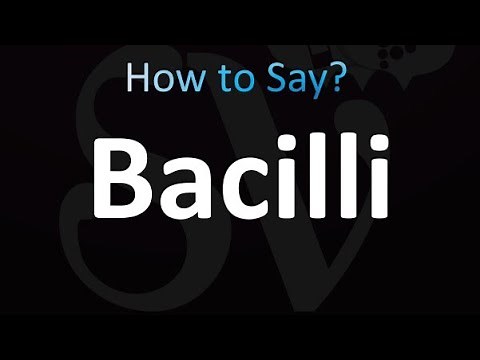 How to Pronounce Bacilli (correctly!)
