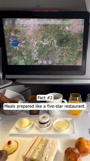 Travel in Ultimate Comfort ✈️ First Class Experience 2026